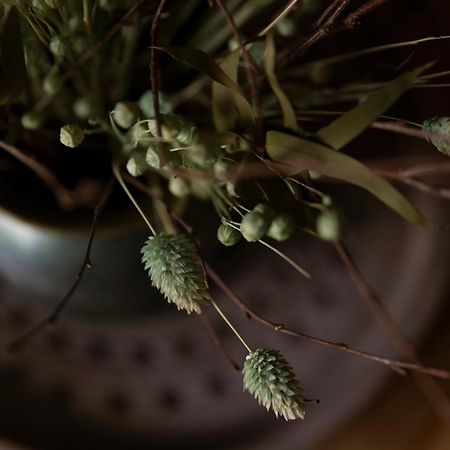 Coffee Apartment 格丁尼亚 外观 照片